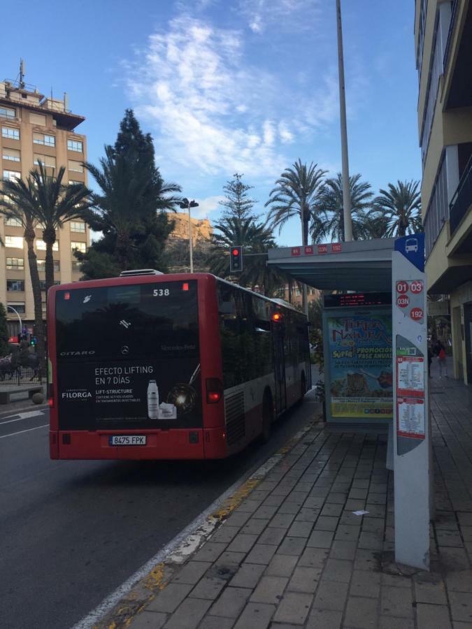 Apartament Centre Near Plaza De Toros Alicante